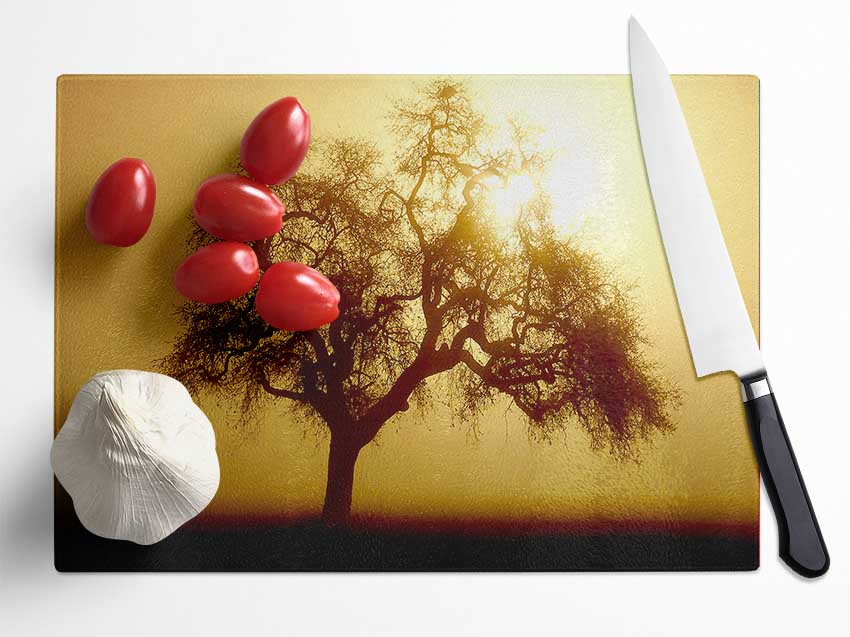 Early Morning Fog Tree Glass Chopping Board