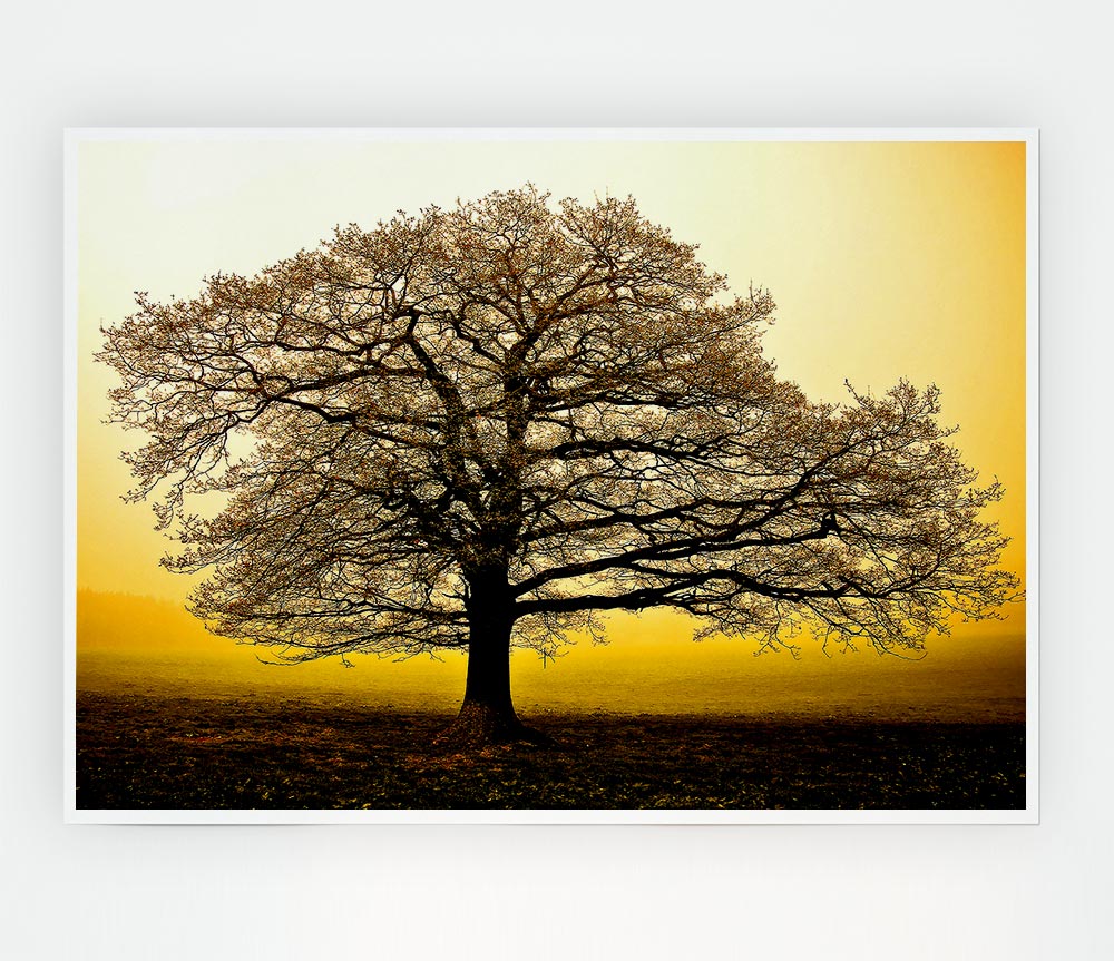 Beautiful Dusk Tree Print Poster Wall Art