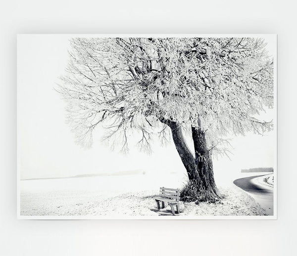 Bench Under Tree Winter Print Poster Wall Art