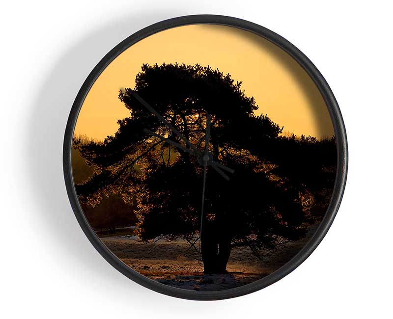 Stunning Old Tree At Dusk Clock - Wallart-Direct UK