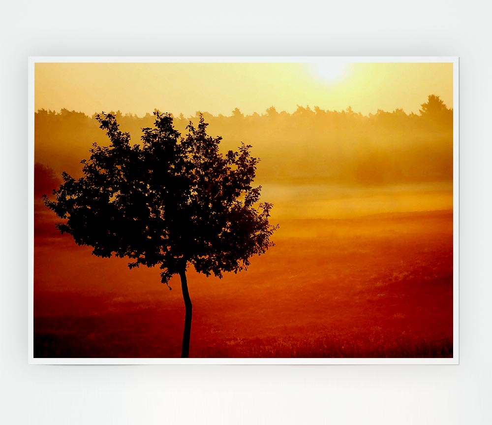 Blazing Sun Tree Print Poster Wall Art