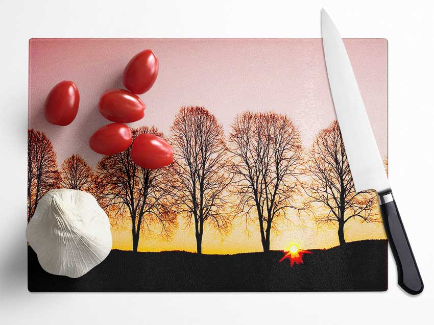 Beech Trees At Sunrise Glass Chopping Board