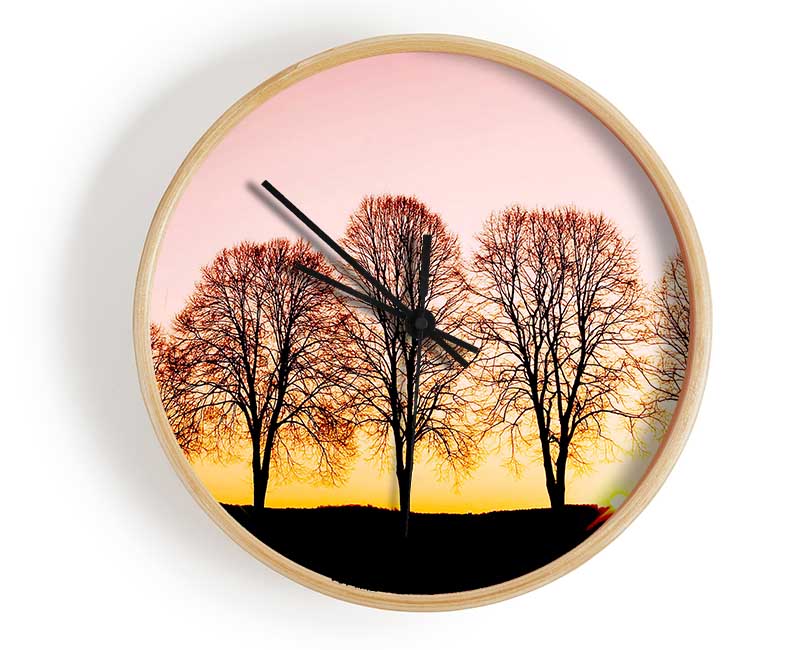 Beech Trees At Sunrise Clock - Wallart-Direct UK