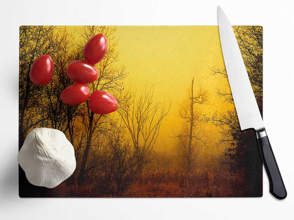 Stunning Golden Light In The Winter Forest Glass Chopping Board