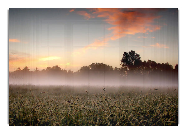 Early Morning Fog