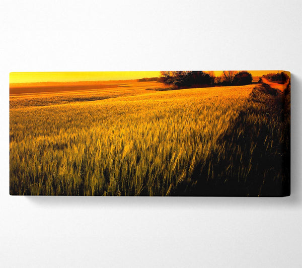 Sunset Over Wheat Field