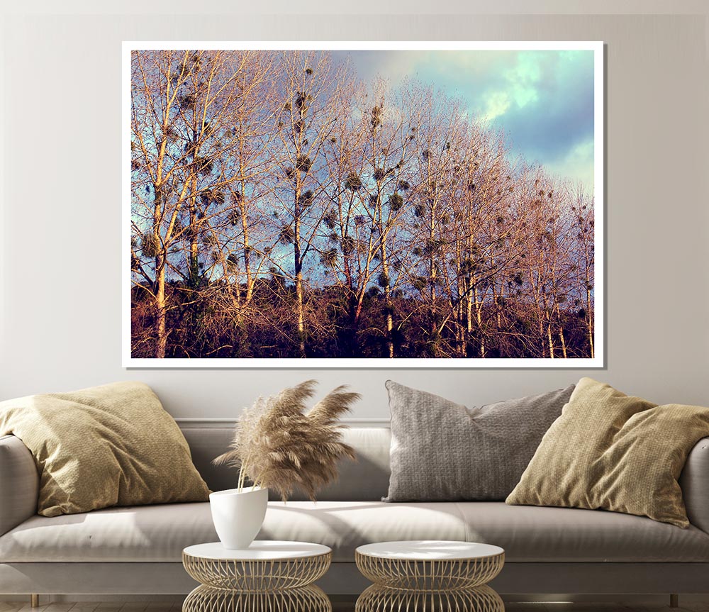 Bird Trees Print Poster Wall Art