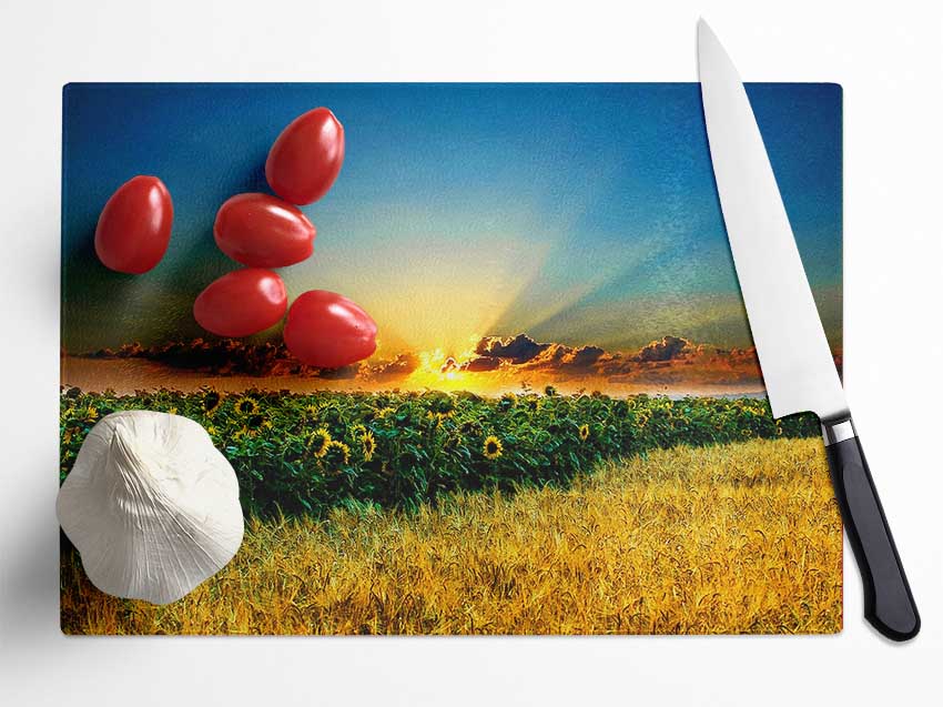 Sunflower Field Sunset Glass Chopping Board