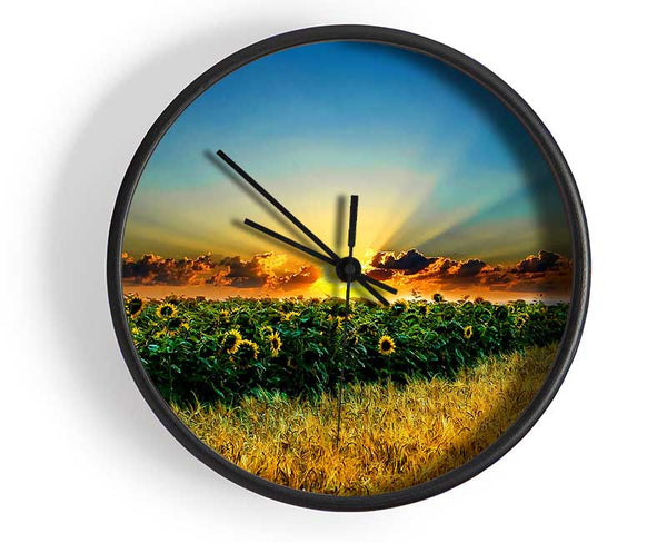 Sunflower Field Sunset Clock - Wallart-Direct UK