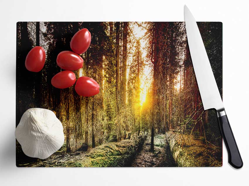 Old Forest In Yosemite Glass Chopping Board