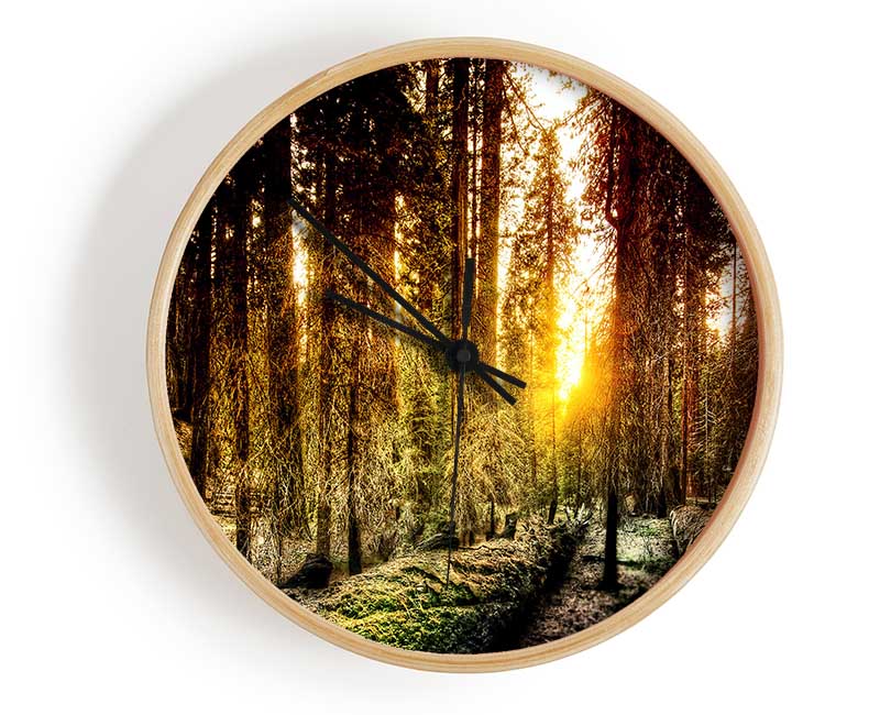 Old Forest In Yosemite Clock - Wallart-Direct UK