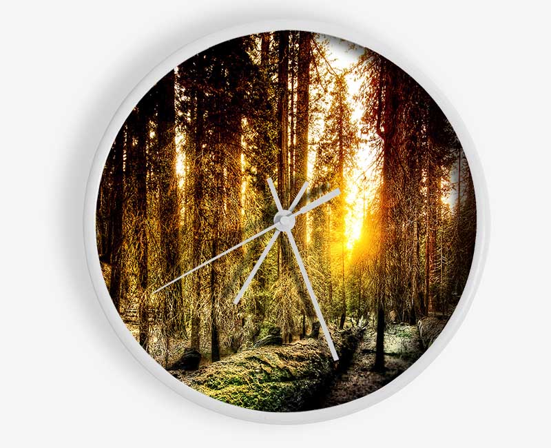 Old Forest In Yosemite Clock - Wallart-Direct UK