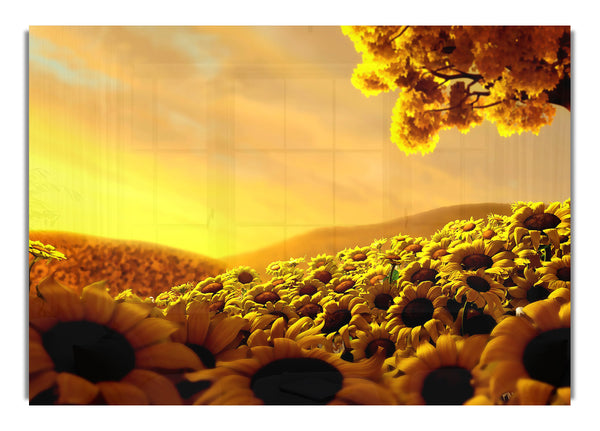 Sun Flower World Hd