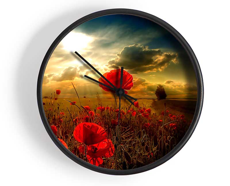 Sunlight Clock - Wallart-Direct UK