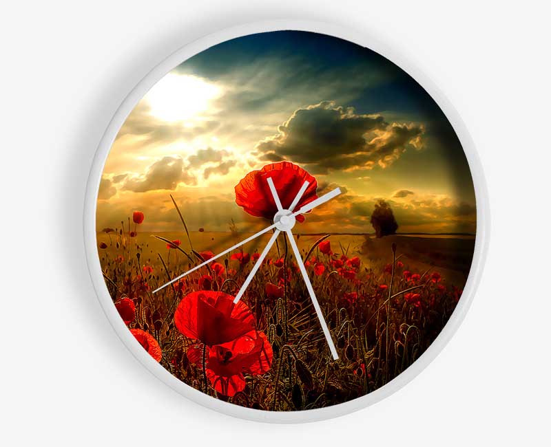 Sunlight Clock - Wallart-Direct UK