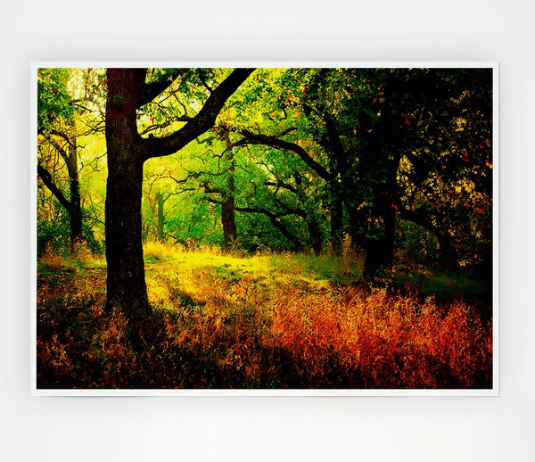 Autumn Wonderland Print Poster Wall Art