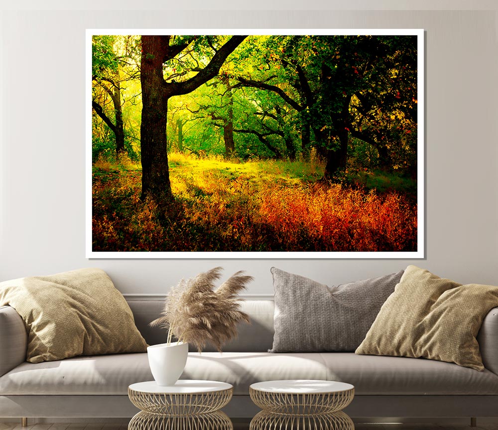 Autumn Wonderland Print Poster Wall Art