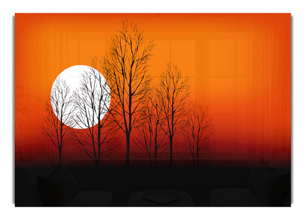 Orange Sunset Trees