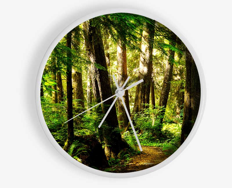 Sunbeam Woodland Clock - Wallart-Direct UK