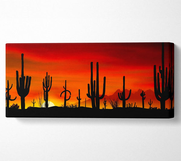 Cactus Sunset Beauty