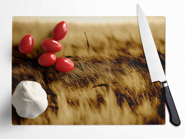 Wheatfield Sepia Glass Chopping Board