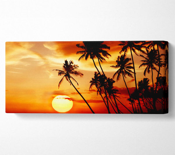 Palm Tree Paradise At Sunset