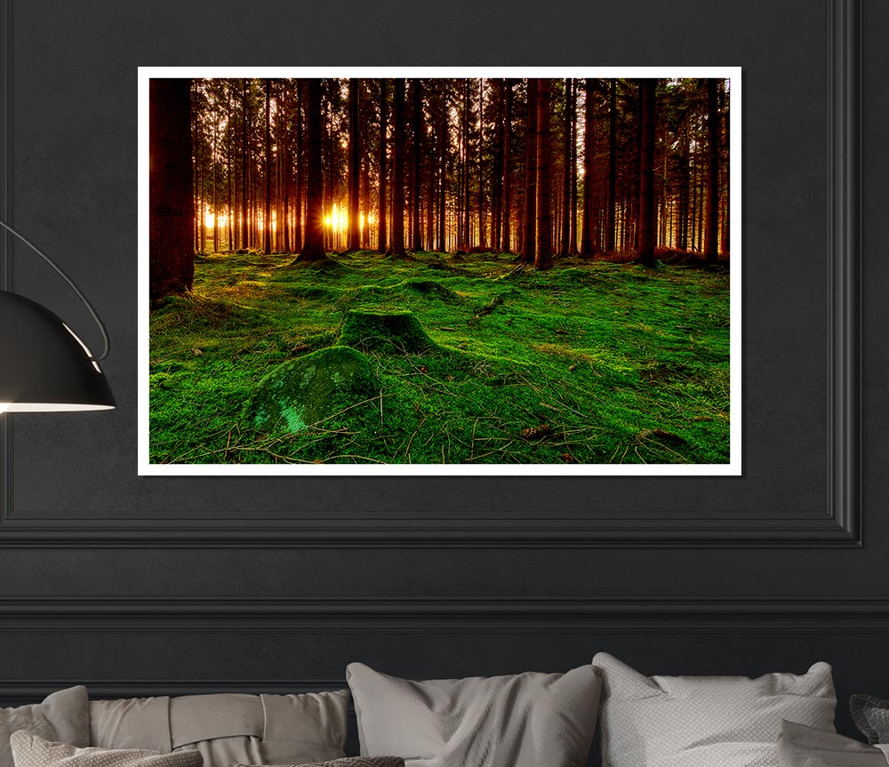 Beyond The Trees Print Poster Wall Art