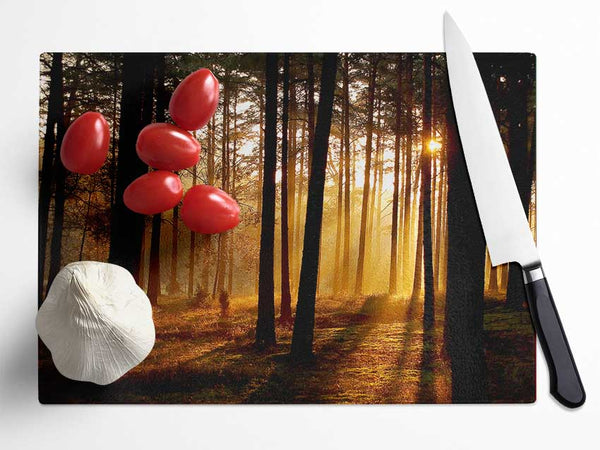 Morning Woodland Sun Mist Glass Chopping Board