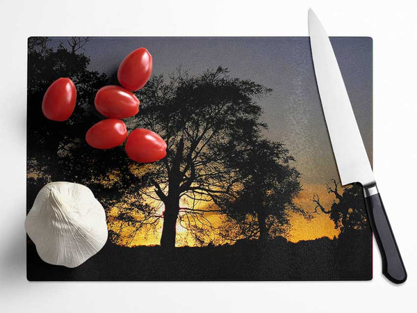 Morning Sun Trees Glass Chopping Board