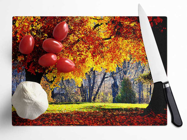 The Golden Autumn Tree Glass Chopping Board