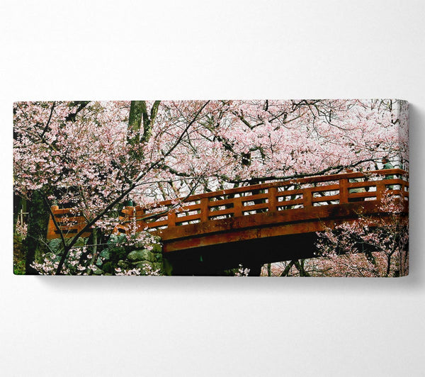 Cherry Blossom Bridge