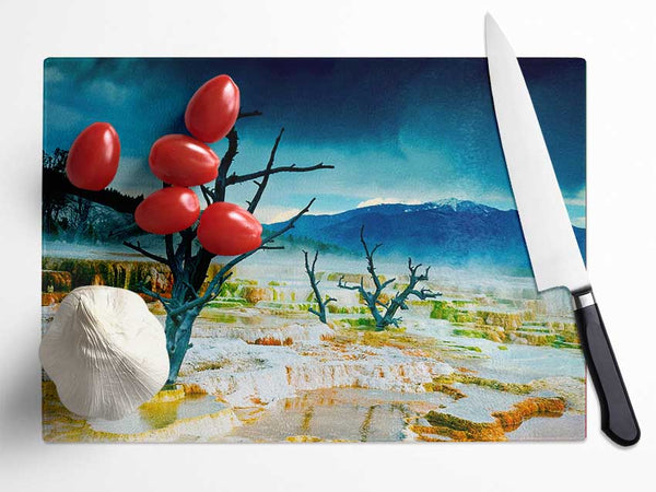 Snow Desert Trees Glass Chopping Board