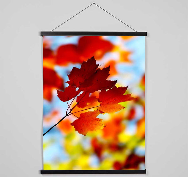 Sun Through The Autumn Leaves Hanging Poster - Wallart-Direct UK