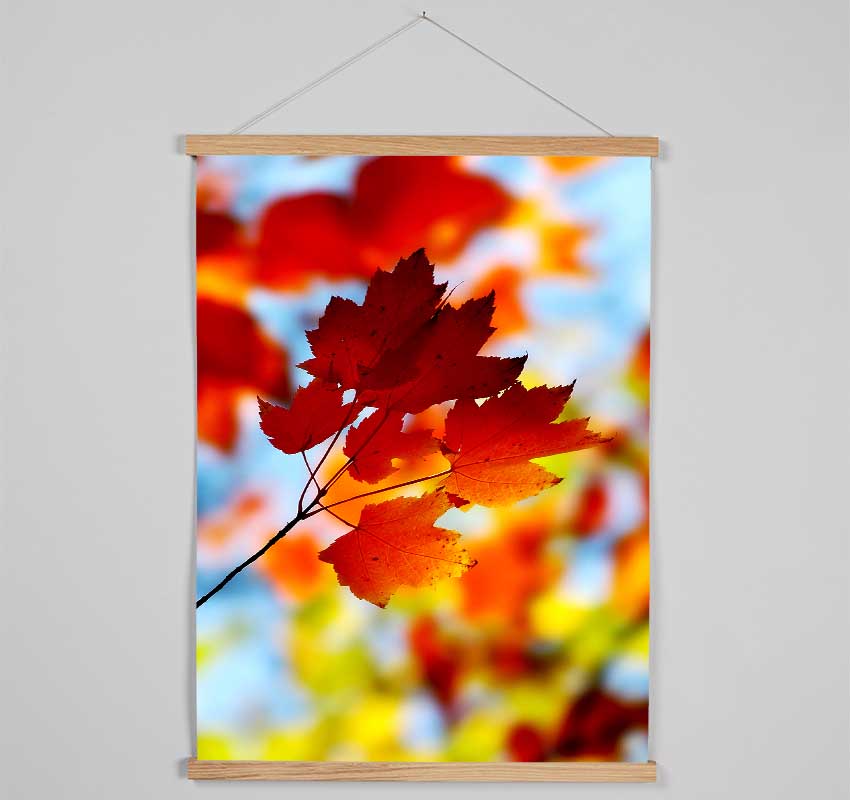 Sun Through The Autumn Leaves Hanging Poster - Wallart-Direct UK