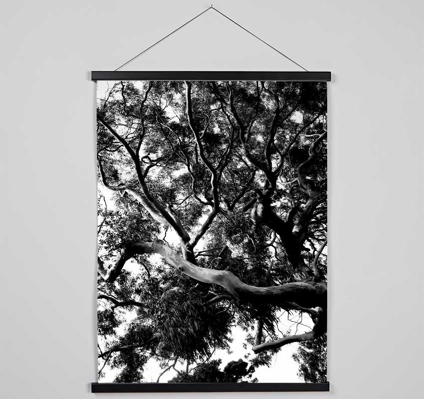 Tree In The Wind B n W Hanging Poster - Wallart-Direct UK