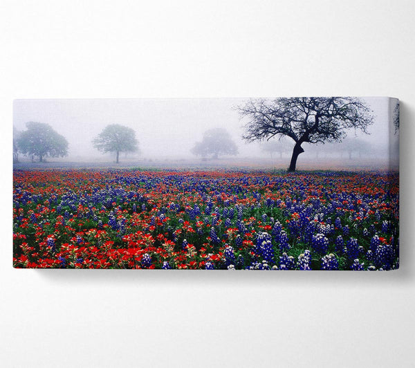 Field Of Flowers In The Morning Mist