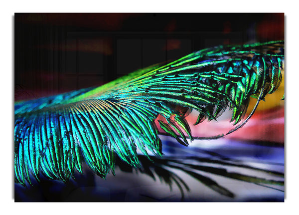 Psychedelic Feathers