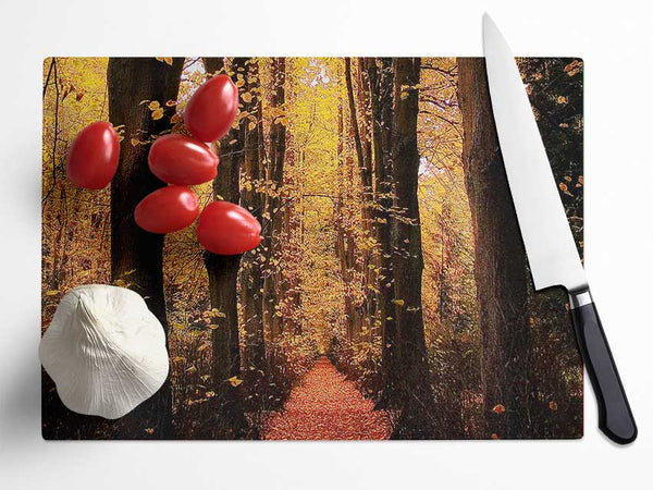 Woodland Walkway Glass Chopping Board