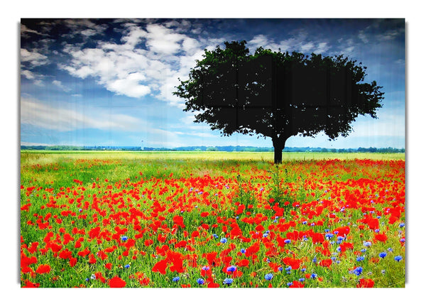 Poppy Field Tree