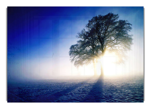 Nebligen Baum bei Sonnenaufgang