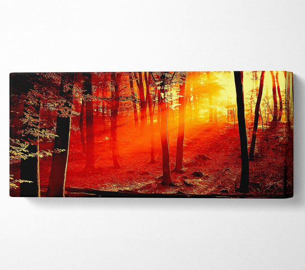 Red Woodland Beam