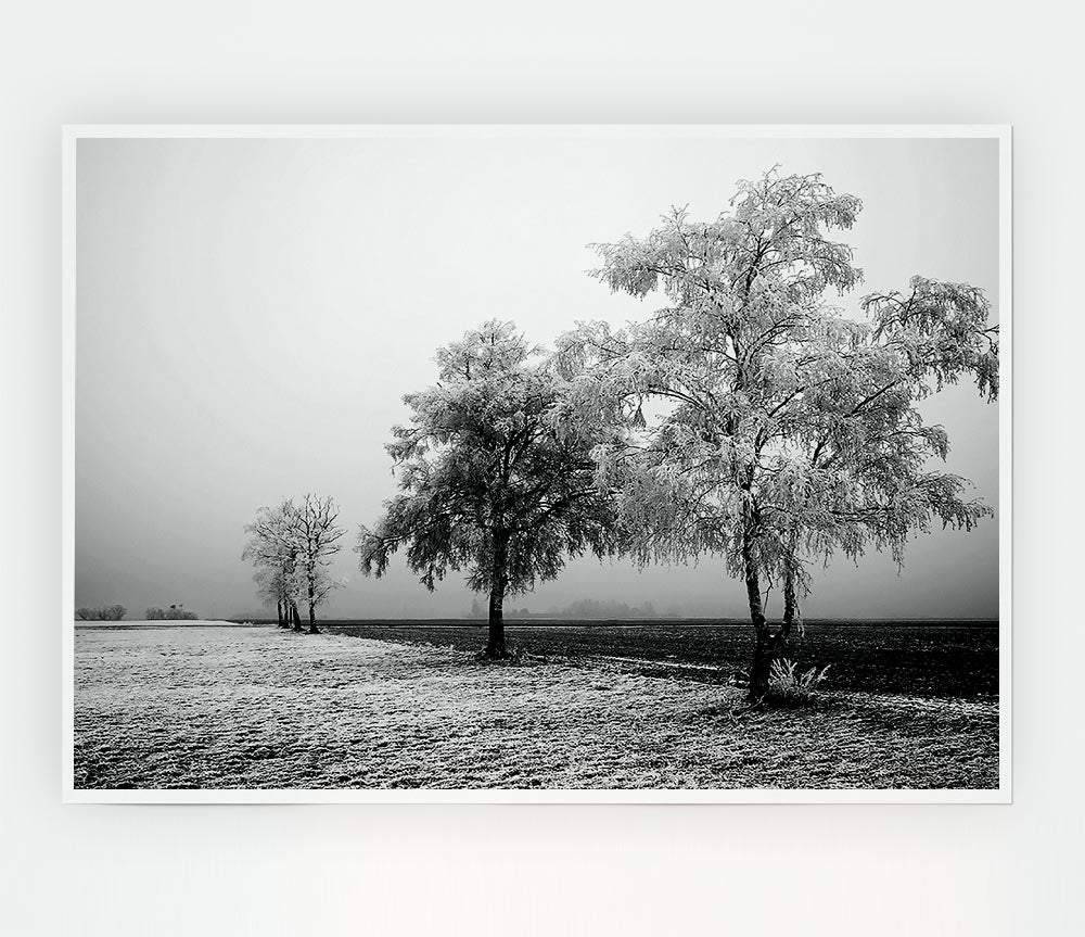 Winter Mist B N W Print Poster Wall Art