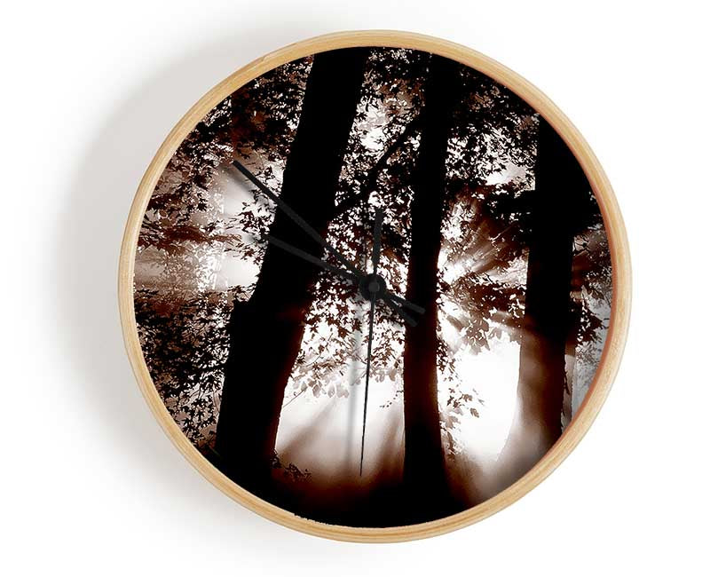 Sunrays Through The Woodland Brown Clock - Wallart-Direct UK