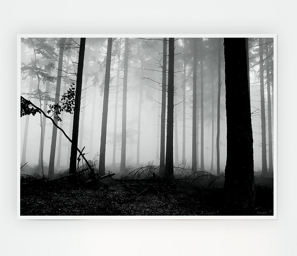 Black N White Woodland Mist Print Poster Wall Art