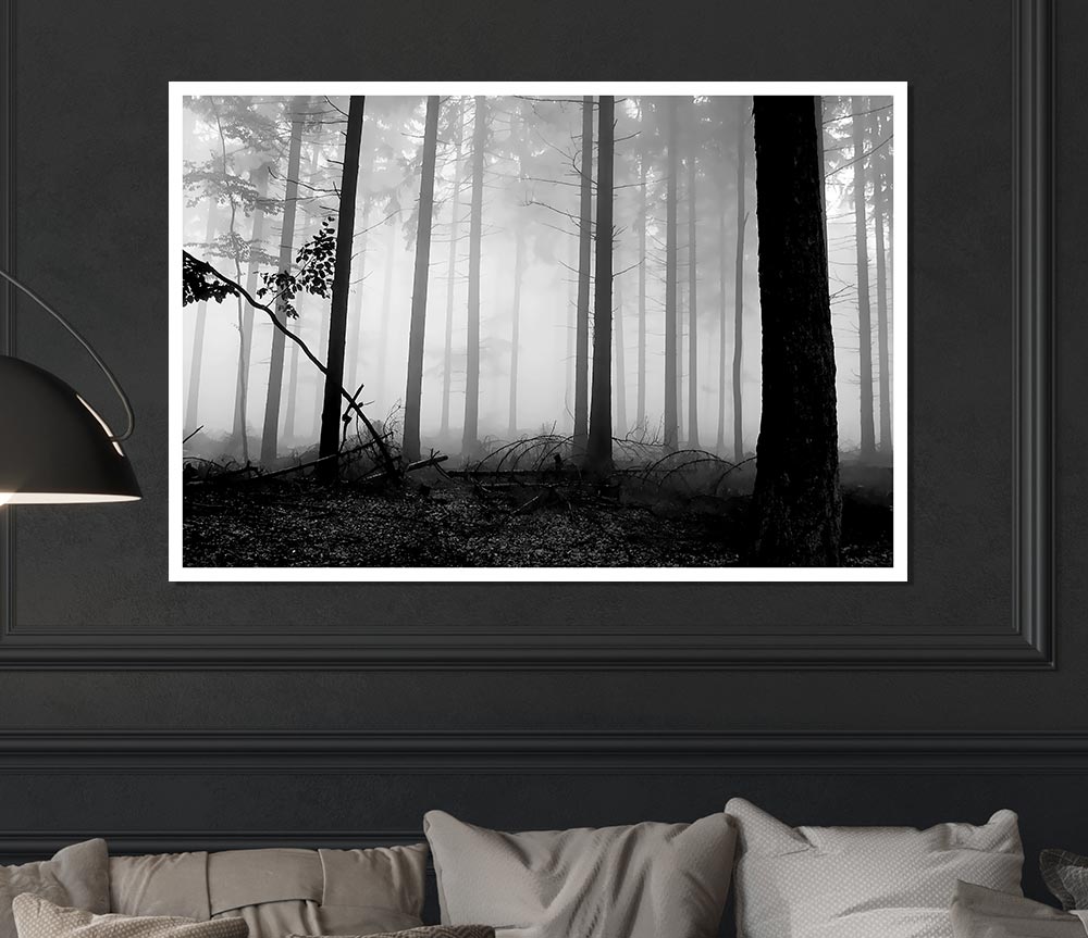 Black N White Woodland Mist Print Poster Wall Art