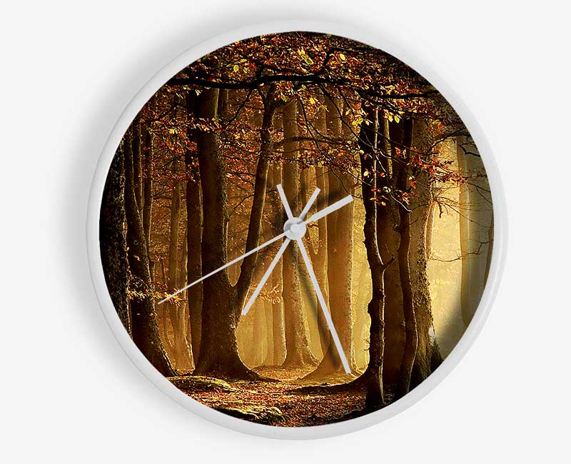 Land Of Trees Clock - Wallart-Direct UK