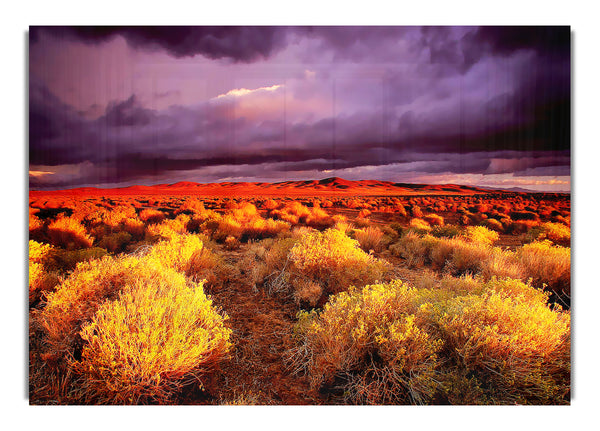 Storm Over Desert