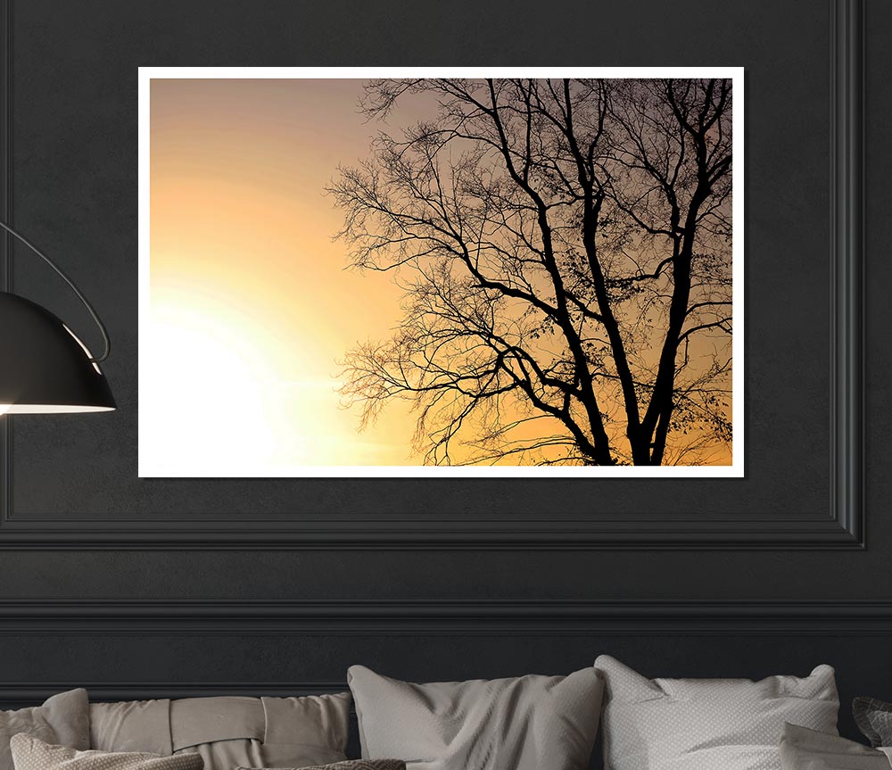 Calm Winter Sun Print Poster Wall Art