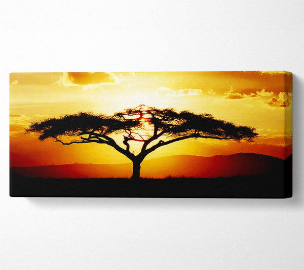 African Tree At Sunset