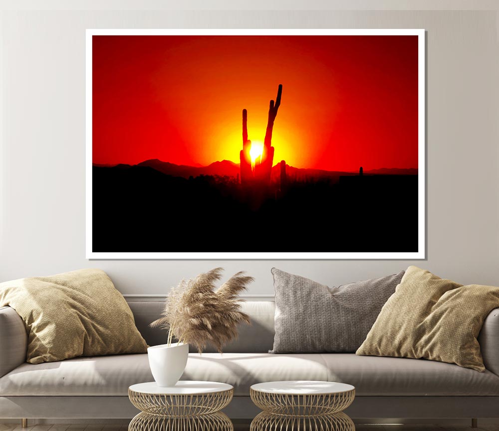 Cactus In Sunlight Print Poster Wall Art